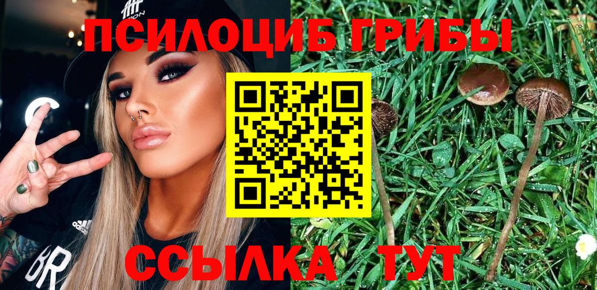 Галлюциногенные грибы Psilocybe  Галлюциногенные грибы Psilocybine cubensis  Саранск  Вход с VPN 