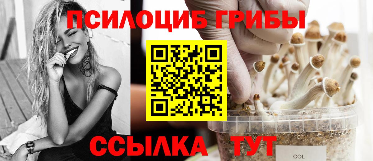 Галлюциногенные грибы Psilocybe Саранск